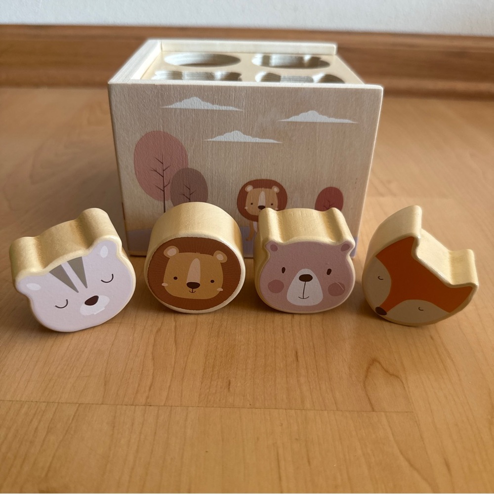 Hobby Lobby Wooden Sorting Cube w/ 4 Animal Faces, Baby Toddler Toy, 12+ Months